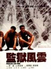 最新更早香港其它電影_更早香港其它電影大全/排行榜_好看的電影
