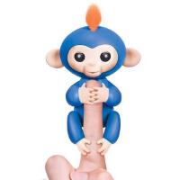 Sprung Monkey歌曲歌詞大全_Sprung Monkey最新歌曲歌詞