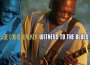 Witness To The Blues專輯_Joe Louis WalkerWitness To The Blues最新專輯