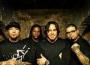 P.O.D