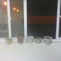 張茗馥圖片照片_張茗馥