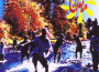 Runnin in the River專輯_CaloboRunnin in the River最新專輯
