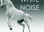 Color Noise Therapy最新歌曲_最熱專輯MV_圖片照片
