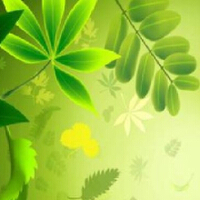 Lycia圖片照片_Lycia