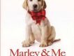 馬利和我 Marley & Me