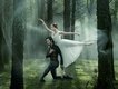 The Love Grave圖片照片