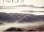 Sacred Spa Music Series: Wrapped in Stillness專輯_Frank Steiner Jr.Sacred Spa Music Series: Wrapped in Stillness最新專輯