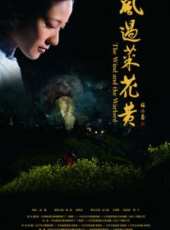 王同輝演過的電影電視劇線上看_影視作品大全_好看的明星