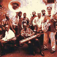The Dirty Dozen Brass Band圖片照片_The Dirty Dozen Brass Band