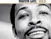 Marvin Gaye歌曲歌詞大全_Marvin Gaye最新歌曲歌詞