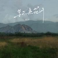 等不來花開