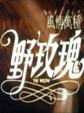 湯鎮宗最新電影_湯鎮宗電影全集線上看_好看的電影