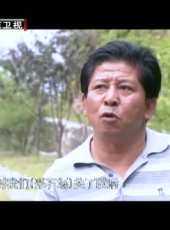 為你而歌最新一期線上看_全集完整版高清線上看_好看的綜藝