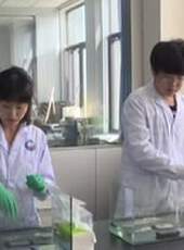 萬萬沒想到最新一期線上看_全集完整版高清線上看_好看的綜藝