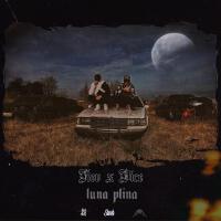 KEV X Dice歌曲歌詞大全_KEV X Dice最新歌曲歌詞