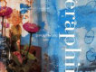 Vol.4-Seraphim