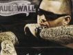 Paul Wall歌曲歌詞大全_Paul Wall最新歌曲歌詞