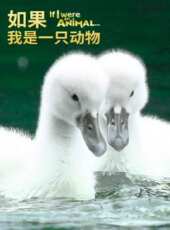 如果我是一隻動物動漫全集線上看_卡通片全集高清線上看 - 蟲蟲動漫