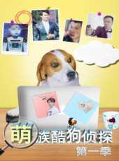 最新2018電視劇_好看的2018電視劇大全/排行榜_好看的電視劇