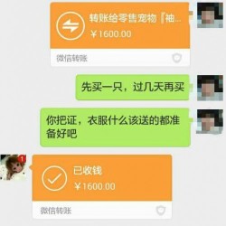 石宇（網上發現的）圖片照片_石宇（網上發現的）