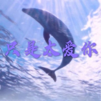 只是太愛你