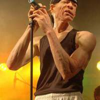 Yellowman圖片照片_Yellowman