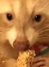 萌次元最新一期線上看_全集完整版高清線上看_好看的綜藝