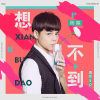 荷葉歌曲歌詞大全_荷葉最新歌曲歌詞