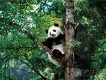 Plants And Animals圖片照片