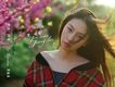賈曉晨歌曲歌詞大全_賈曉晨最新歌曲歌詞