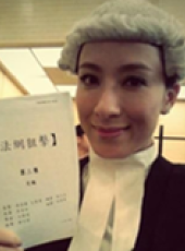 法網狙擊（國語版）線上看_全集高清完整版線上看_分集劇情介紹_好看的電視劇