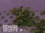 韓小九歌曲歌詞大全_韓小九最新歌曲歌詞
