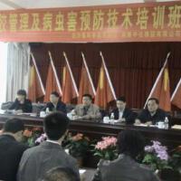 邢福順圖片照片_邢福順