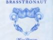 Insects歌詞_BrasstronautInsects歌詞