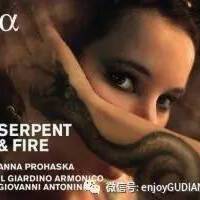 Il Giardino Armonico圖片照片_照片寫真