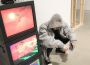 不負韶華年專輯_趙允哲不負韶華年最新專輯