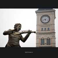 Johann Strauss I圖片照片_Johann Strauss I