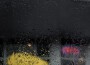 Rain Sounds ACE歌曲歌詞大全_Rain Sounds ACE最新歌曲歌詞
