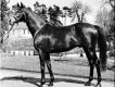 Horsebeach圖片照片_Horsebeach