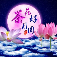 花好月圓的夜晚