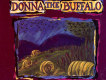 Donna The Buffalo圖片照片
