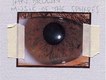 Music of the Spheres