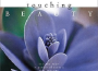 Touching Beauty專輯_HikoTouching Beauty最新專輯