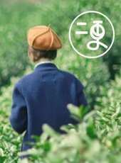 2019最新紀實綜藝節目大全/排行榜_好看的綜藝