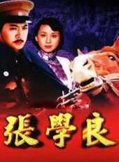 何琳最新電視劇_何琳電視劇作品全集線上看_好看的電視劇