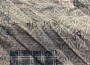shit and fart專輯_阿張shit and fart最新專輯