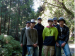 The Nature Sounds Society Japan歌曲歌詞大全_The Nature Sounds Society Japan最新歌曲歌詞