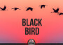 Black Bird專輯_Prashant BhusalBlack Bird最新專輯