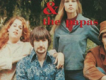 Mamas and Papas歌曲歌詞大全_Mamas and Papas最新歌曲歌詞