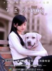 倪言演過的電影電視劇線上看_影視作品大全_好看的明星